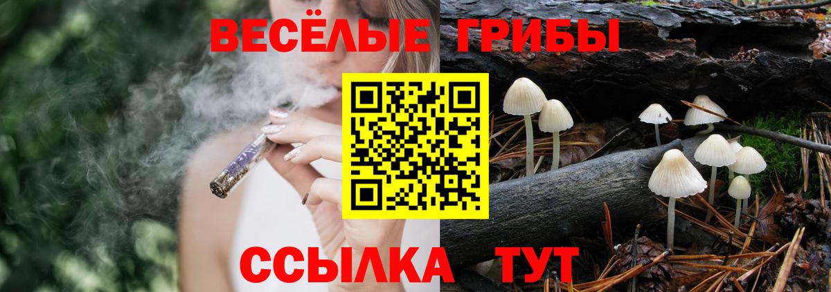 Псилоцибиновые грибы мицелий  купить закладку  Вятские Поляны  Вход с VPN 